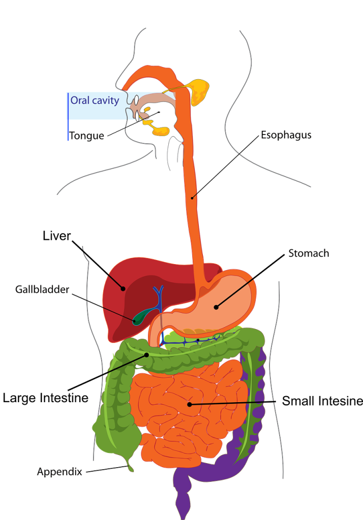 12-home-remedies-for-heartburn-and-what-to-do-if-they-don-t-work